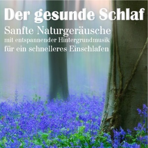 Der gesunde Schlaf, sanfte Naturgeräusche mit entspannender Hintergrundmusik für ein schnelleres Einschlafen
