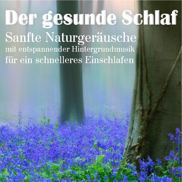 Der gesunde Schlaf, sanfte Naturgeräusche mit entspannender Hintergrundmusik für ein schnelleres Einschlafen