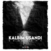 Kalbim Usandı artwork