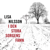 I den stora sorgens famn artwork