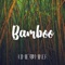 Bamboo - Kimié Miner lyrics