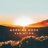 Morning Mood Variation (Arr. for Piano after Peer Gynt Suite No. 1, Op. 46) artwork