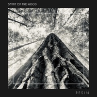 Resin (feat. Adam Maalouf) - Single - Spirit of the Wood