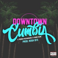Downtown Cumbia - Single - Fakir Flow & Perro Pachamama