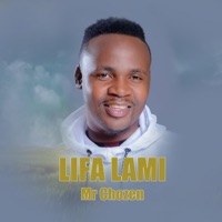 Lifa Lami - Single - mr chozen