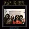 Sam Gopal - You're Alone Now