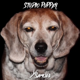 Pupper! (feat. Ricky Wolfe) Y. Samuel
