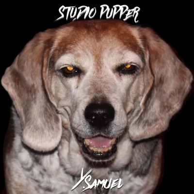 Studio Pupper