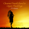 Cleanse Pineal Gland & Open Third Eye: Native Flute & Drums (Solfeggio 852 & 963 Hz) - PowerThoughts Meditation Club