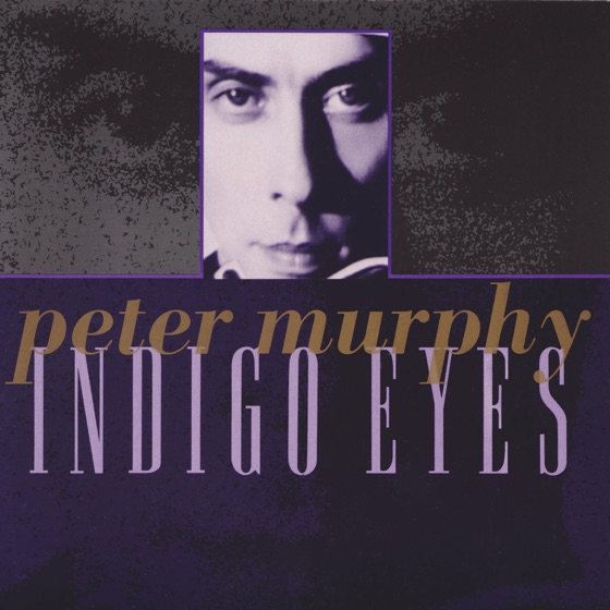 Cover artwork for Confessions