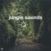 Queue: The Music Lifestyle App - Jungle Sounds