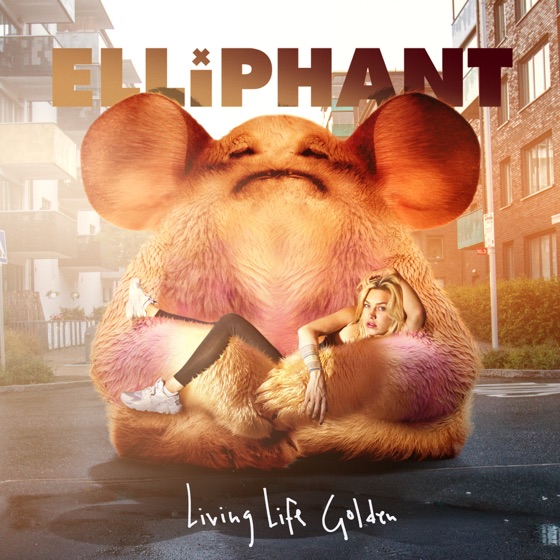 Cover artwork for Hit and Run