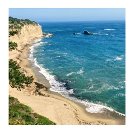 Half Moon Bay Intuitive & Palpal