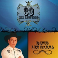 30 del Recuerdo: Davíd Lee Garza - David Lee Garza