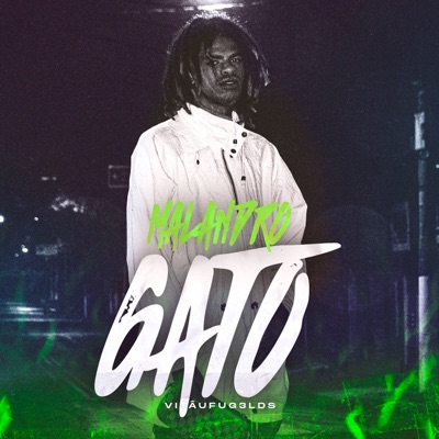 Malandro Gato - Single