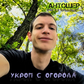 Укроп с огорода Антошер