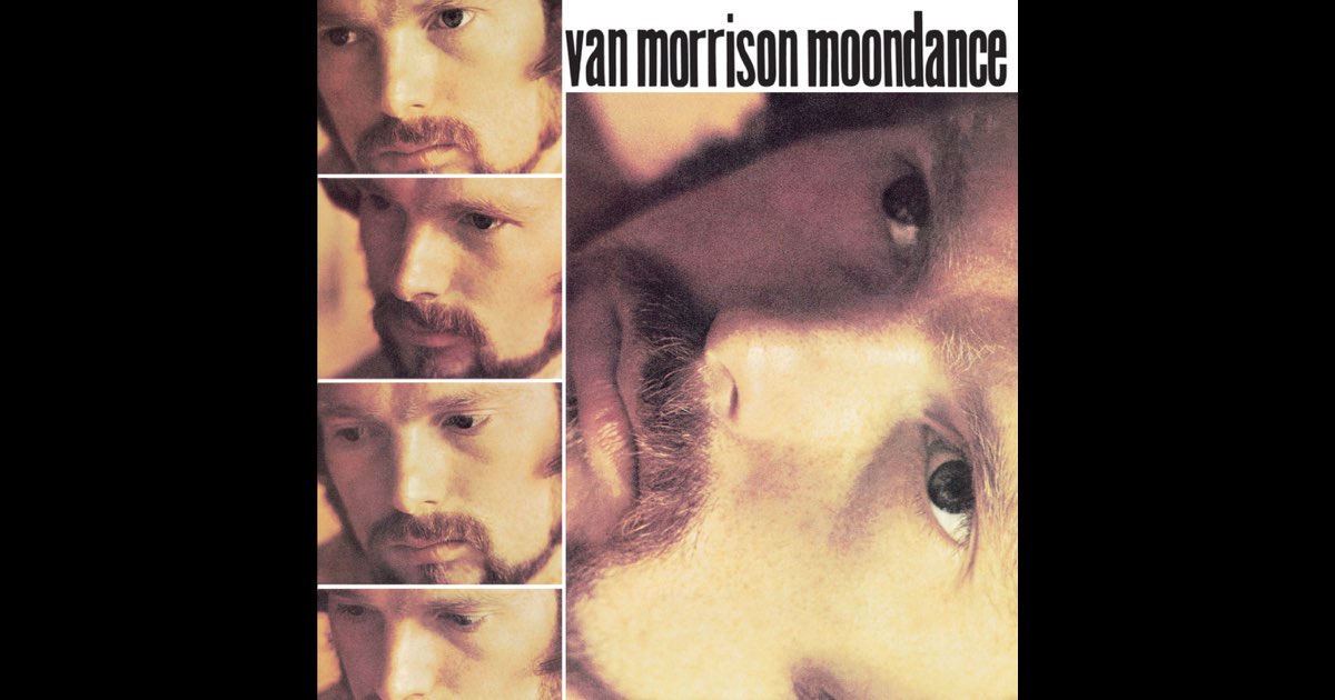 Moondance - Album by Van Morrison - Apple Music