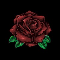 Strata - Single - AST