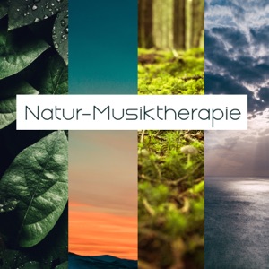 Natur-Musiktherapie: Entspannender Regen, beruhigende Wellen für den Schlaf, Vogelgesang für inneren Frieden, Entspannen Sie sich hier und jetzt