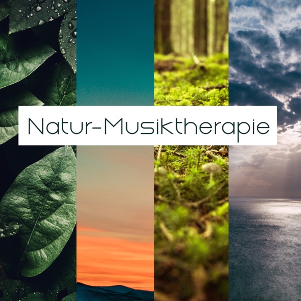 Natur-Musiktherapie: Entspannender Regen, beruhigende Wellen für den Schlaf, Vogelgesang für inneren Frieden, Entspannen Sie sich hier und jetzt