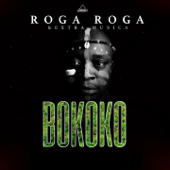 Bokoko (feat. Extra Musica) - Roga Roga