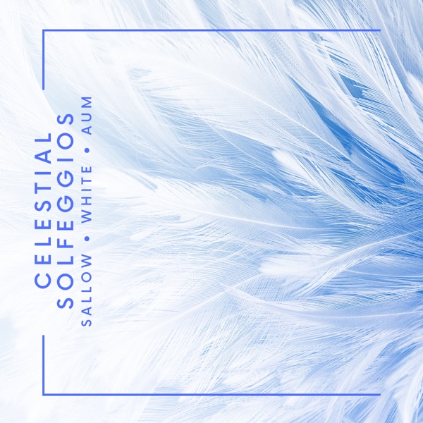 Celestial Solfeggios: Angelic Meditation