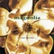 Driving Sideways - Aimee Mann lyrics