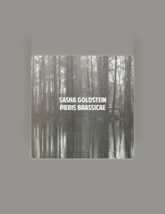 Dengarkan Sasha Goldstein, tonton video musik, baca bio, lihat tanggal tur & lainnya!