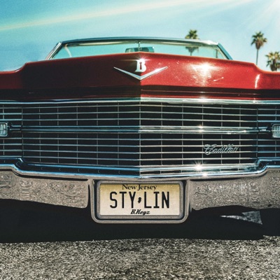 Stylin' - Single