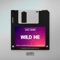 Wild Me - Amal Nemer lyrics