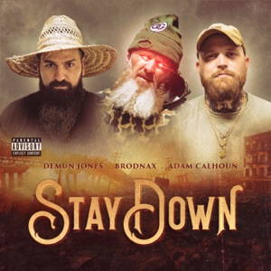 Stay Down - Single
