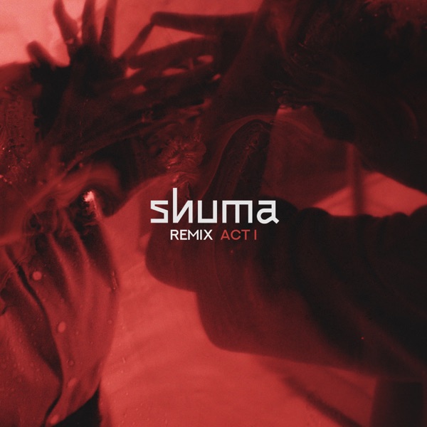 Remix Act I - Single