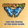 Can You Travel in the Dark Alone - Single