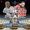 Bricks on a Plane - Single