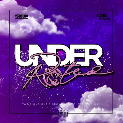 Underrated (feat. Lord Rogue) - Single