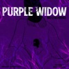 Purple Widow (Original & Remix Versions) IRR07 - EP