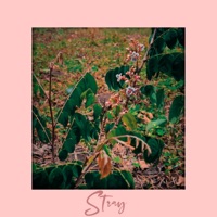 Stray - Single - Sgon