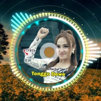 Tonggo Dewe (Remix) - Single - Intan Chacha