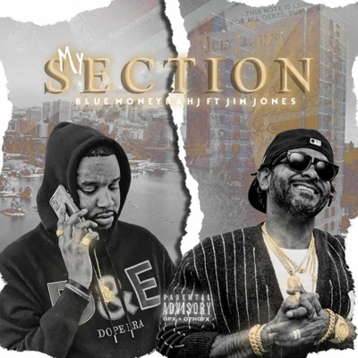 My section (feat. Jim Jones) - Single