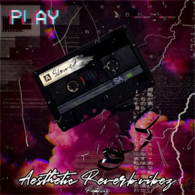 Song - Pal Pal Dil ke Paas (Slowed X Reverb) - Raptoxiz Rappy