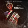 AMADLOZI (feat. Golden krish & Team Delela) - Single