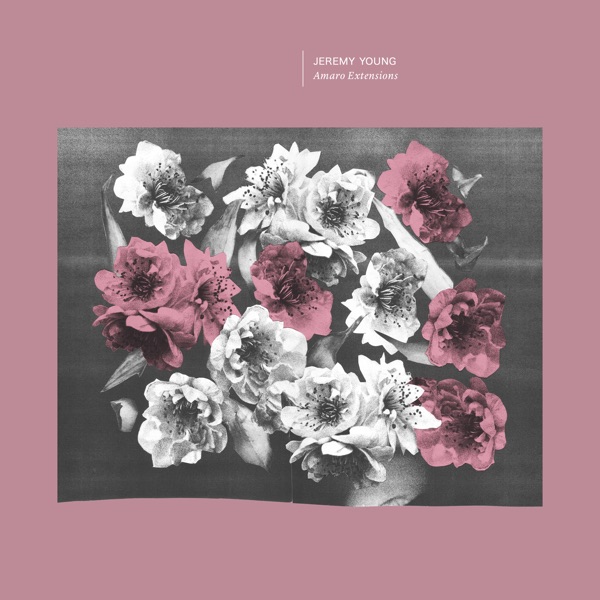 Amaro Extensions - EP
