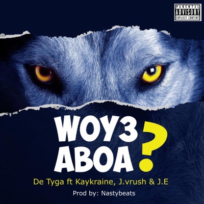 Wo Y3 Aboa? (feat. NastyBeats, Kay Kraine, JE4555 & J. Vrush) - Single
