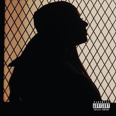 Material Lights (feat. Relentless) - Single