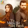 Tu Mera Ho Nahi Paaya - Single