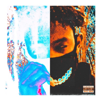 Duality