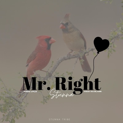 Mr. Right - Single