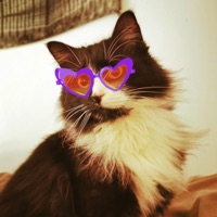 Under the Lights (Pop) - Single - Fab Lorian