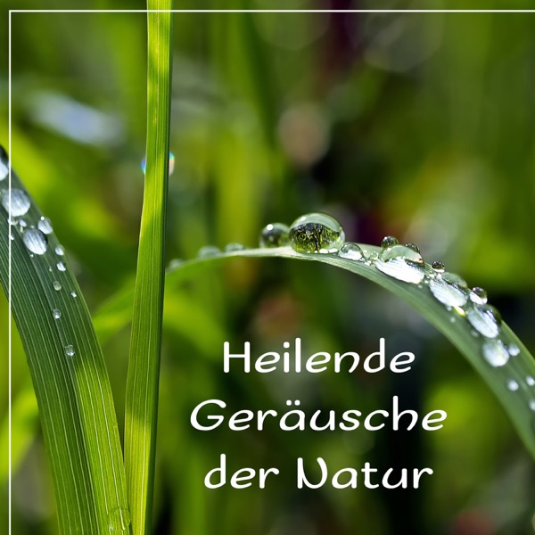 Heilende Geräusche der Natur: Musik für Yoga, Meditationsmusik, Musiktherapie, Tiefschlaf, Reiki Heilung Spa, Massage, Stress Reduzieren, Inneren Frieden