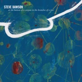 Steve Dawson - Hard Time Friend